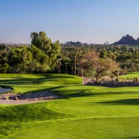 the-phoenician-11