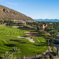 the-phoenician-16